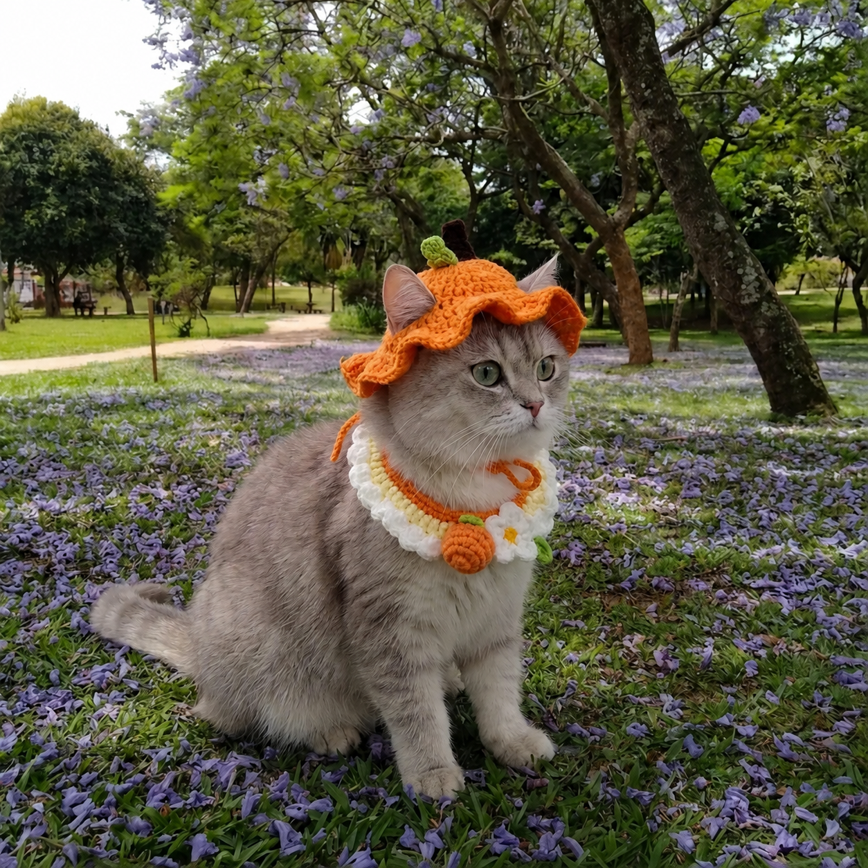 Little Hat