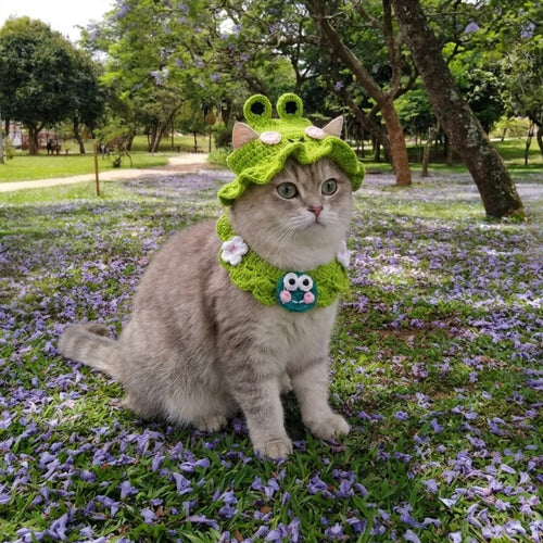 Little Hat
